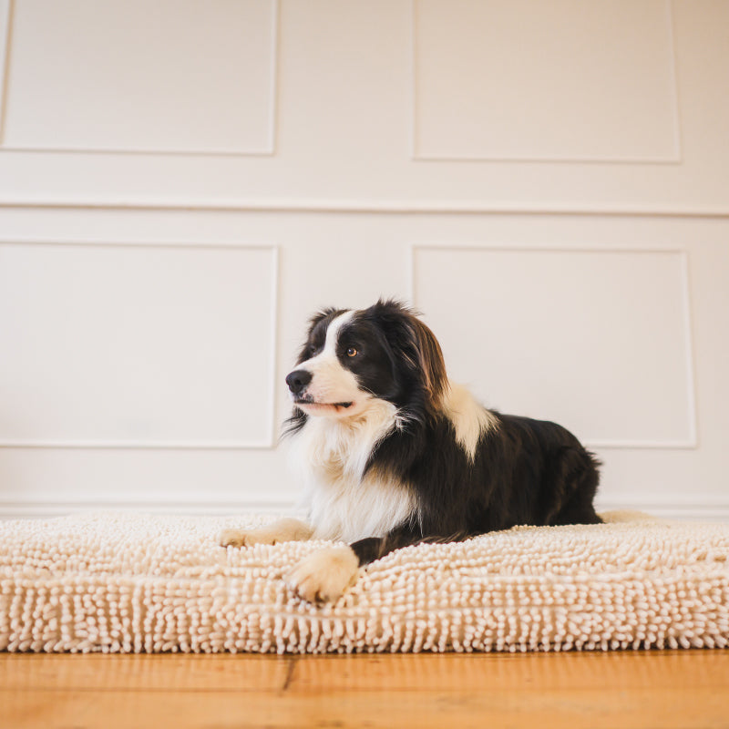 Quick Dry Dog Bed Cover