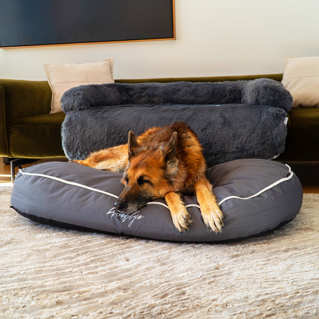 Chew Resistant Dog Bed (2-in-1 Dog Bed)