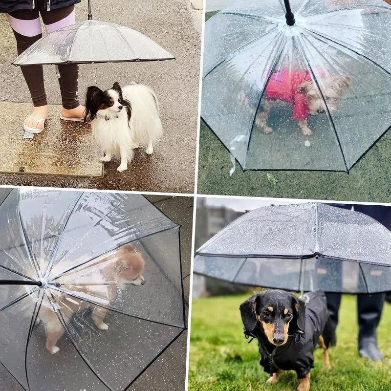 Dog Umbrella With Leash