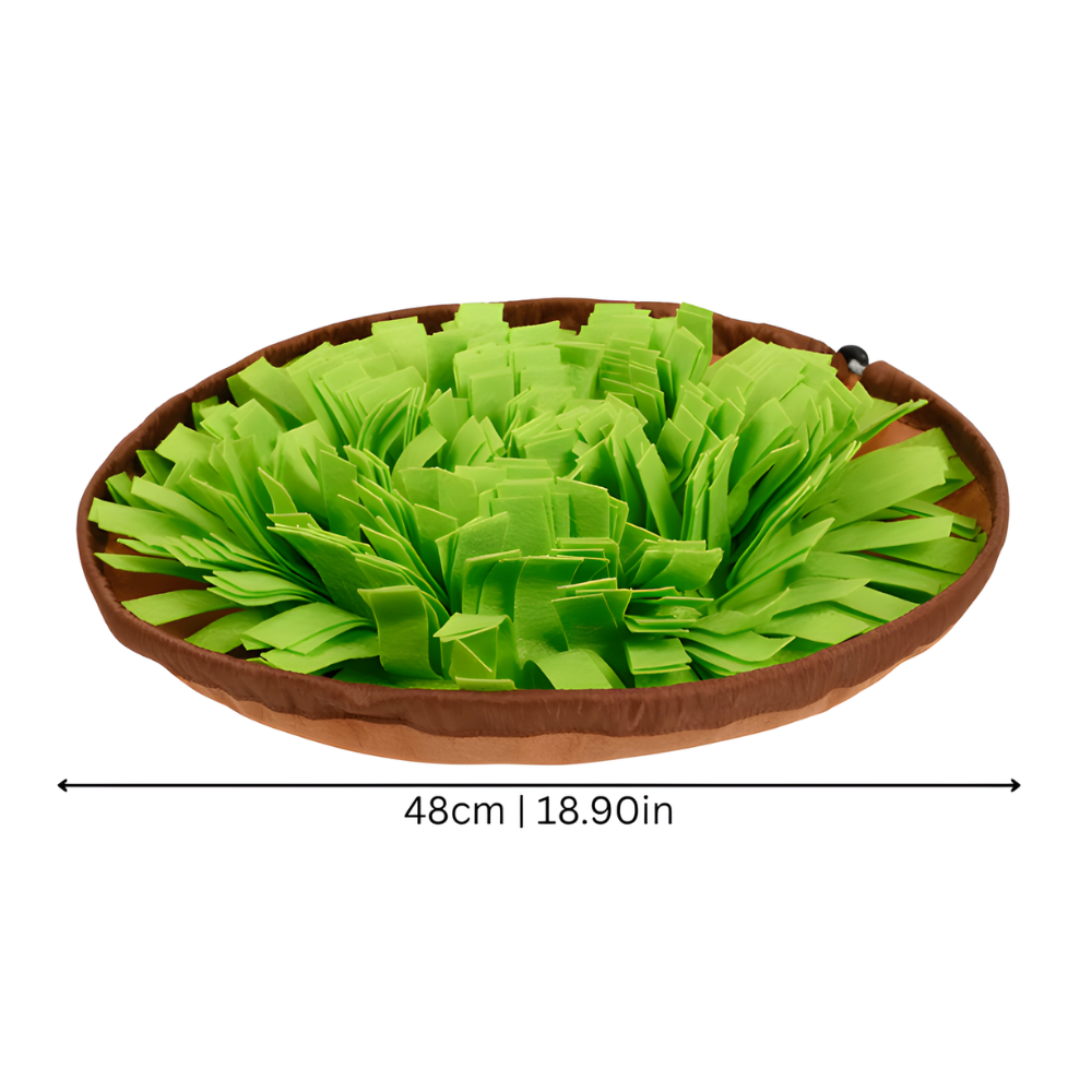 Dog Snuffle Mat