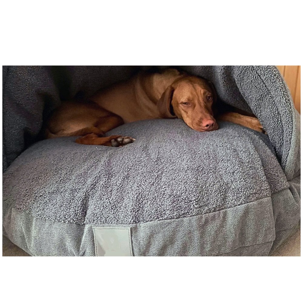 Cozy Dog Cave Bed