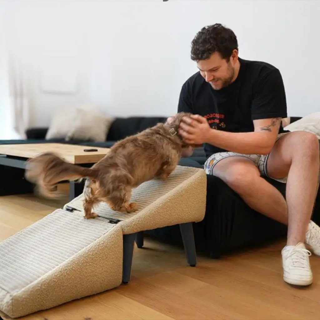 2-in-1 Dog Ramp Ottoman