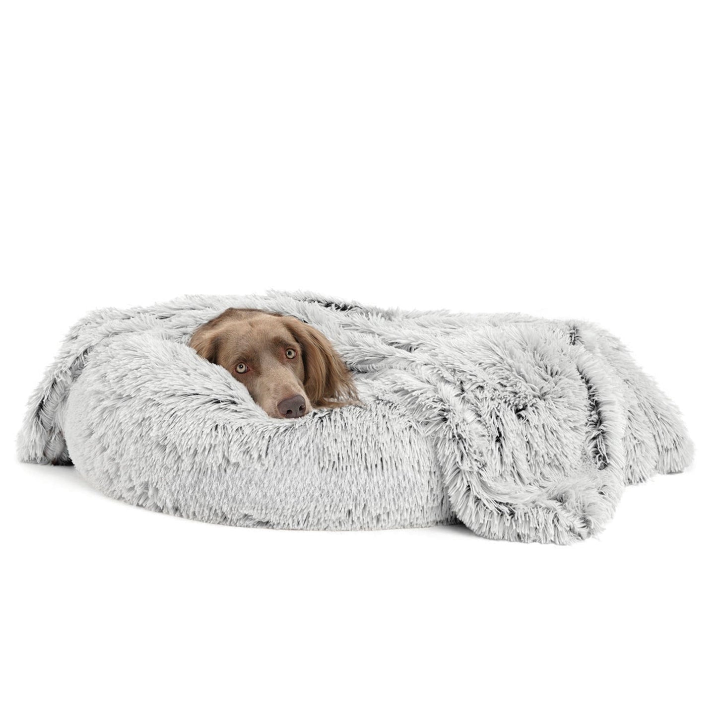 Calming Pet Throw Blanket