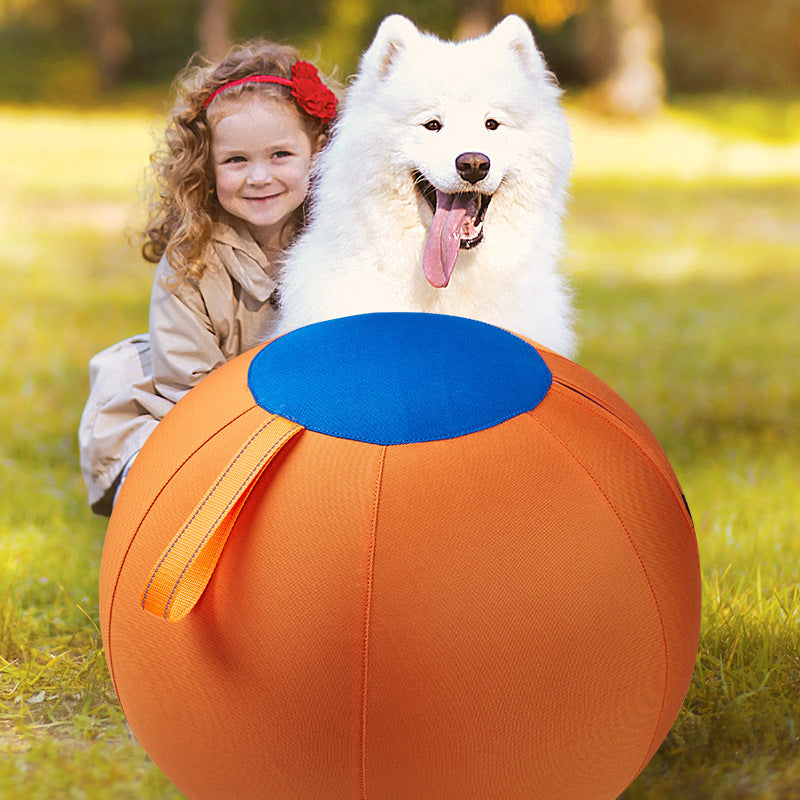 Inflatable Dog Herding Ball for Outdoor Play
