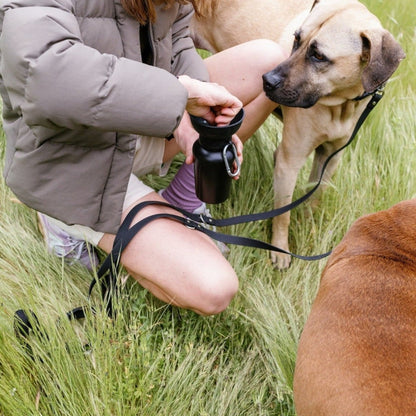 Portable Dog Travel Water Bottle - 20oz