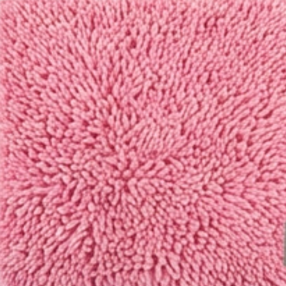 Absorbent Dog Door Mat for Muddy Paws