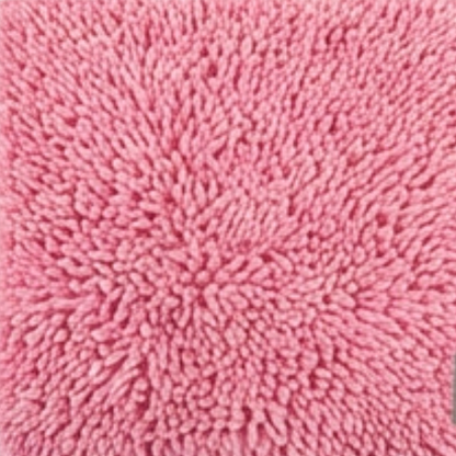 Absorbent Dog Door Mat for Muddy Paws
