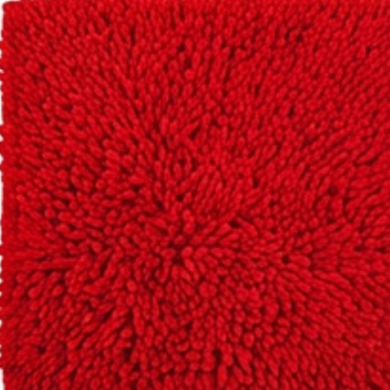 Absorbent Dog Door Mat for Muddy Paws
