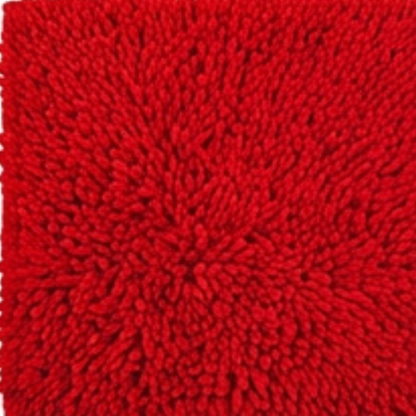 Absorbent Dog Door Mat for Muddy Paws