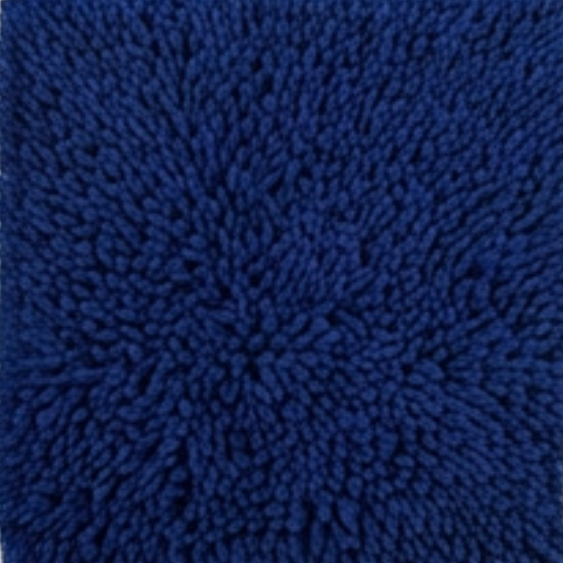 Absorbent Dog Door Mat for Muddy Paws