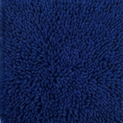 Absorbent Dog Door Mat for Muddy Paws