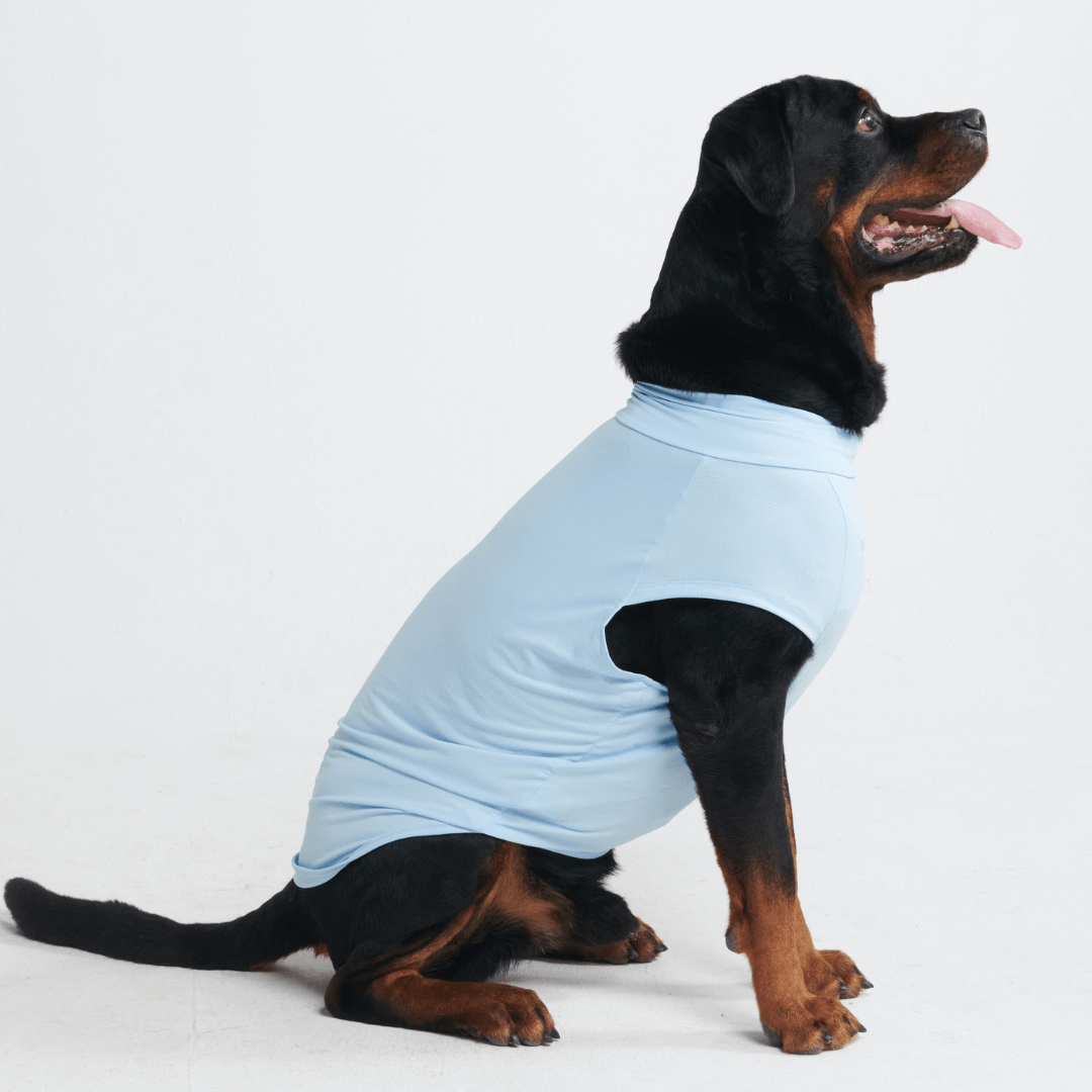 Sun Protection Dog T-Shirt