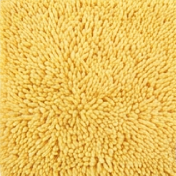 Absorbent Dog Door Mat for Muddy Paws