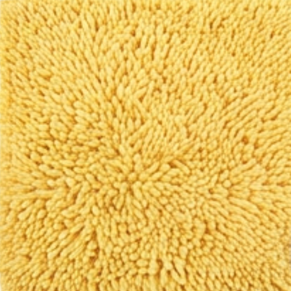 Absorbent Dog Door Mat for Muddy Paws