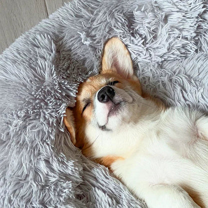 FurGrovers Calming Dog Bed
