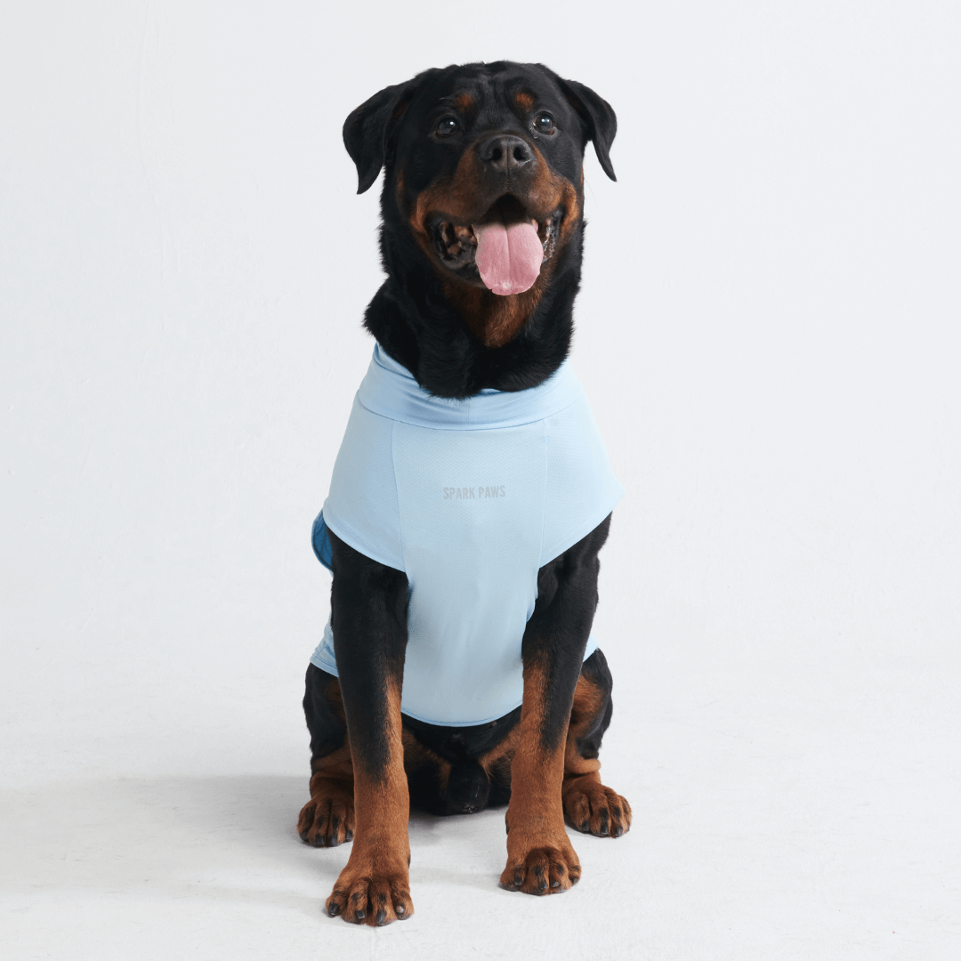 Sun Protection Dog T-Shirt