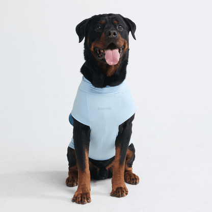 Sun Protection Dog T-Shirt