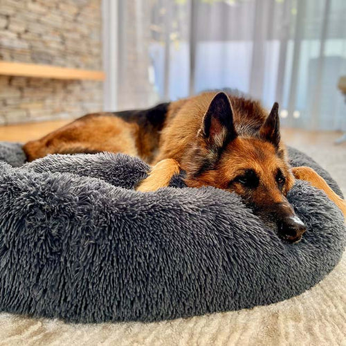 FurGrovers Calming Dog Bed
