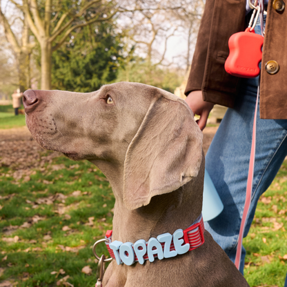 Silicone Dog Treat Pouch