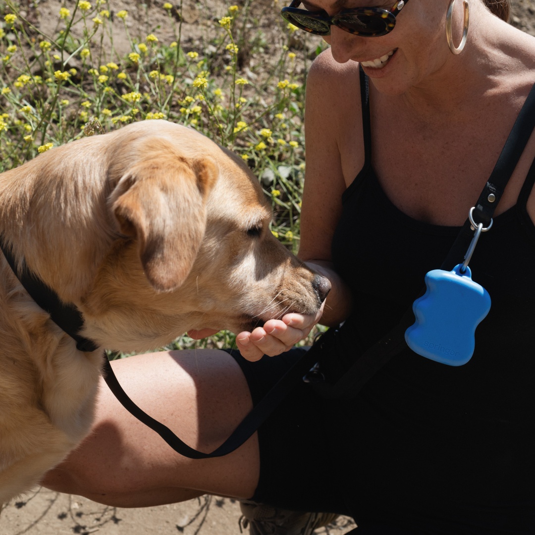 Silicone Dog Treat Pouch