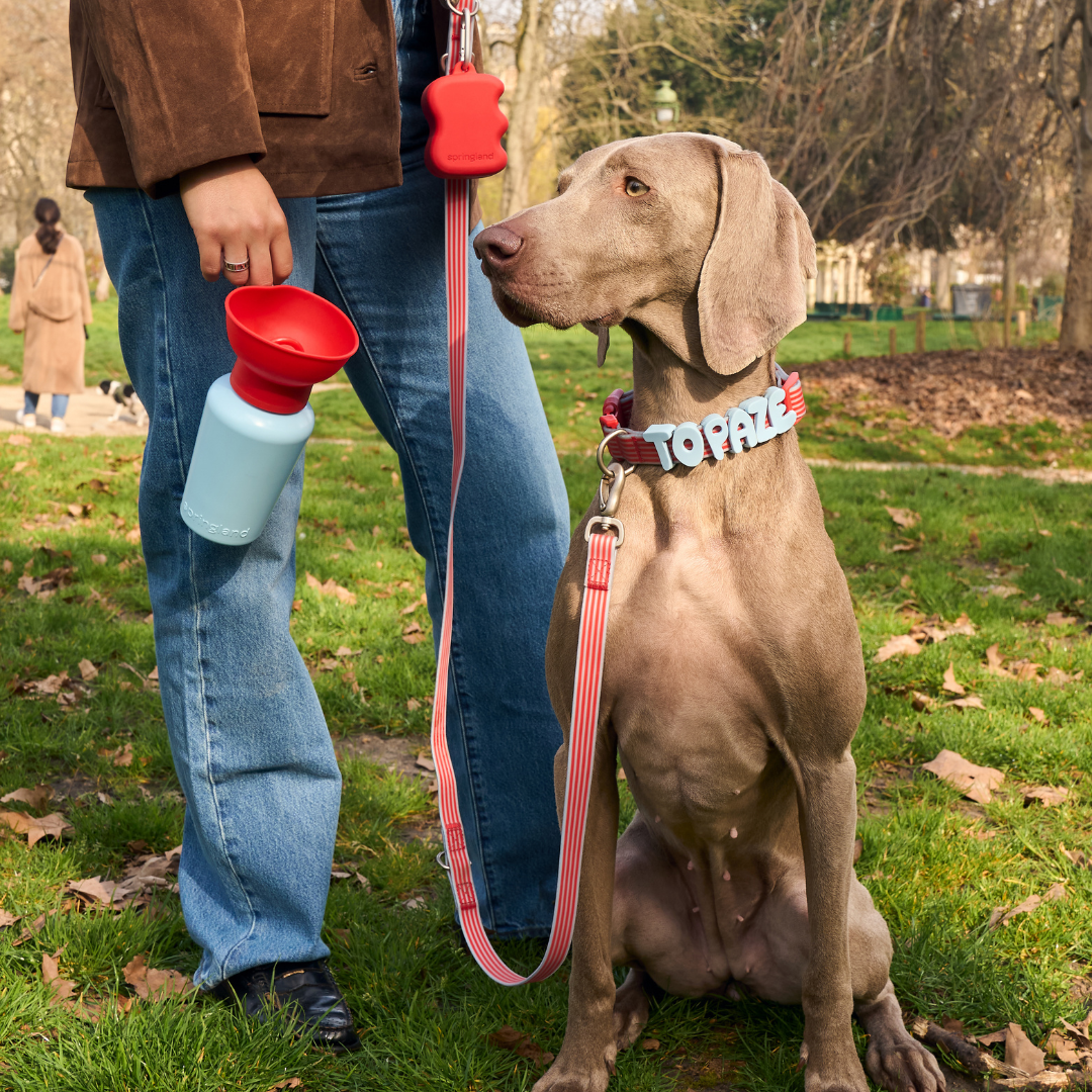 Silicone Dog Treat Pouch