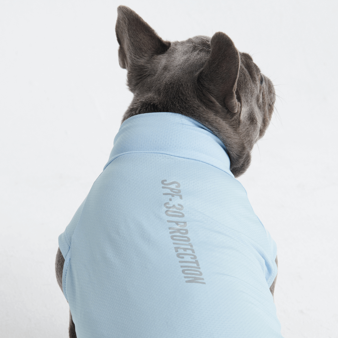 Sun Protection Dog T-Shirt