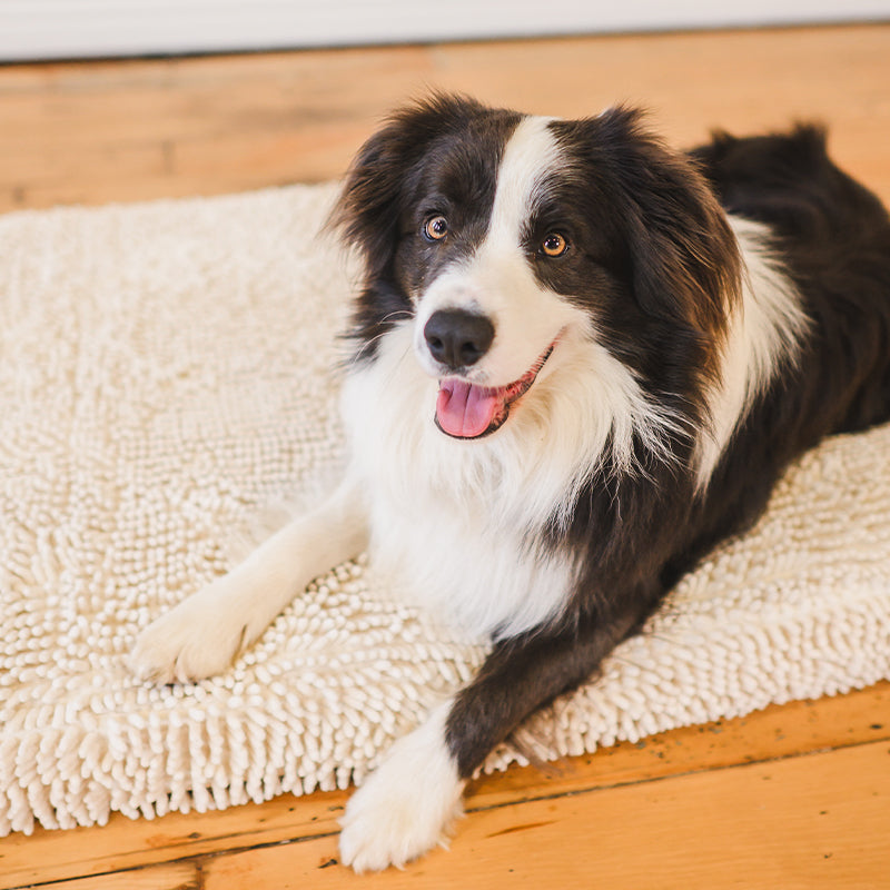 Quick Dry Dog Bed Cover