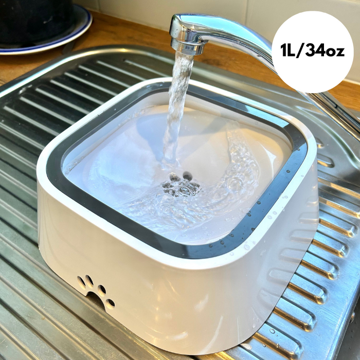 No-Spill Dog Water Bowl