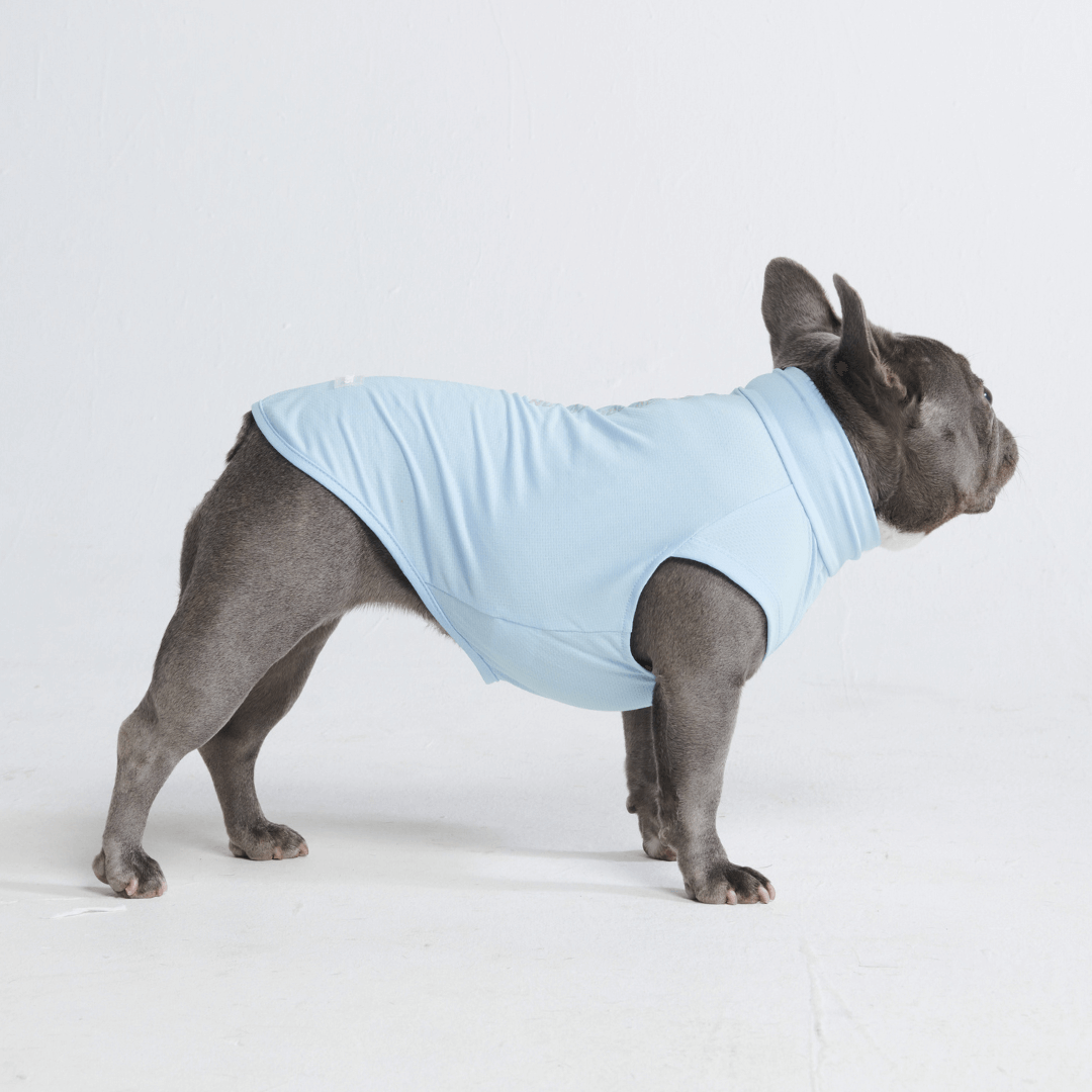Sun Protection Dog T-Shirt