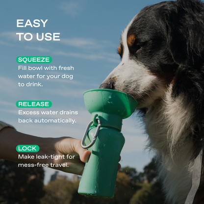 Portable Dog Travel Water Bottle - 20oz