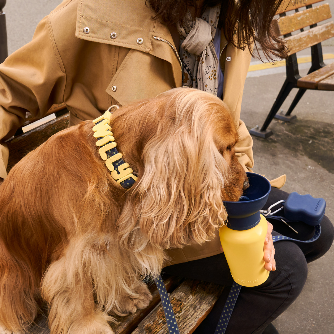 Silicone Dog Treat Pouch