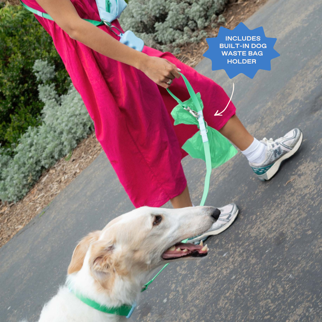 Hands-Free Dog Walking Bag with 4ft Leash