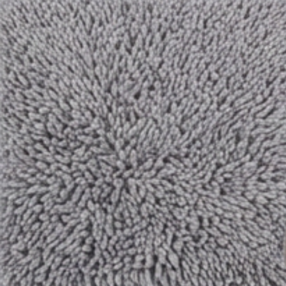 Absorbent Dog Door Mat for Muddy Paws