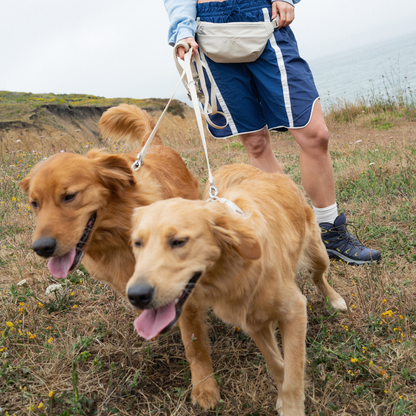 Hands-Free Dog Walking Bag with 4ft Leash