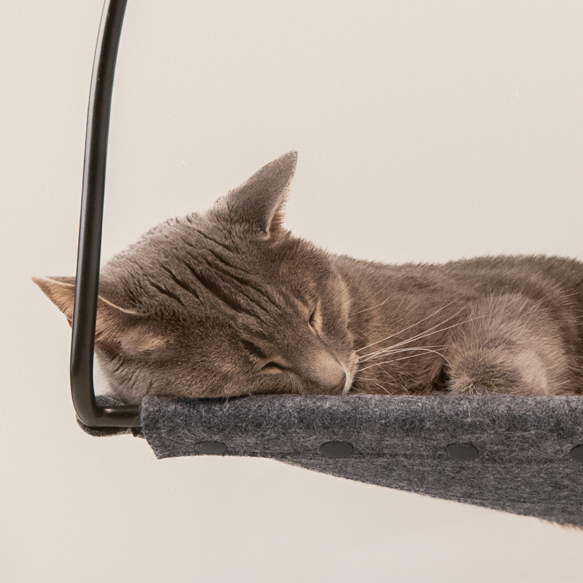 Cat Window Hammock
