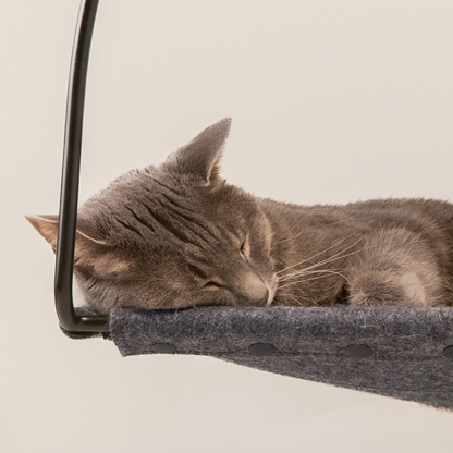 Cat Window Hammock