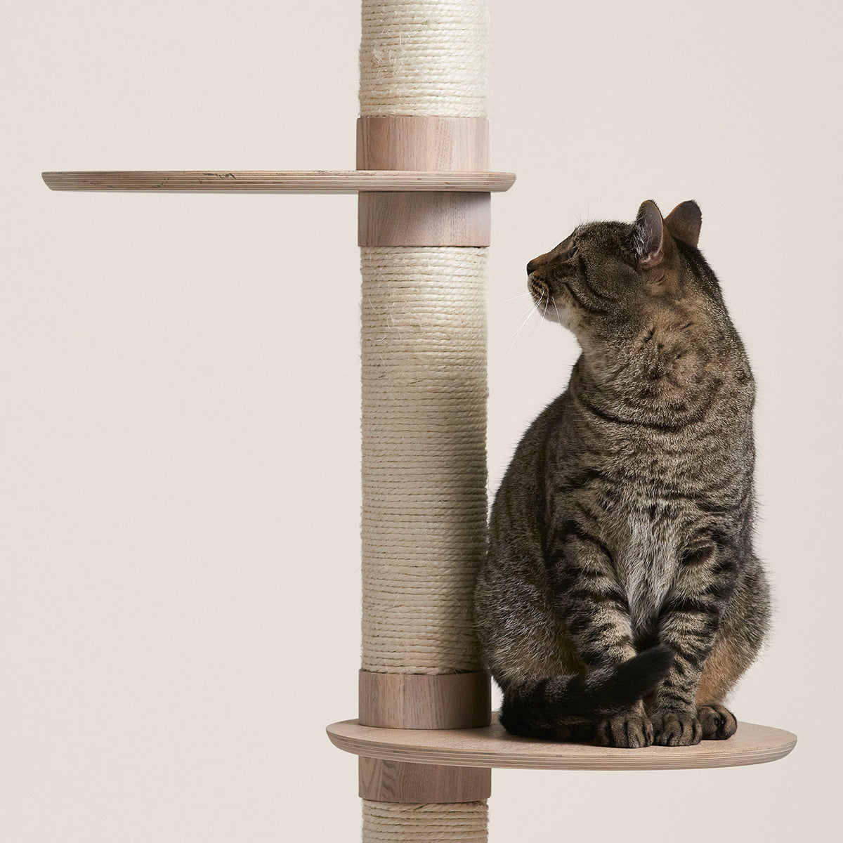 3-Tier Cat Climbing Tree