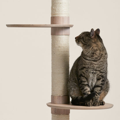 3-Tier Cat Climbing Tree