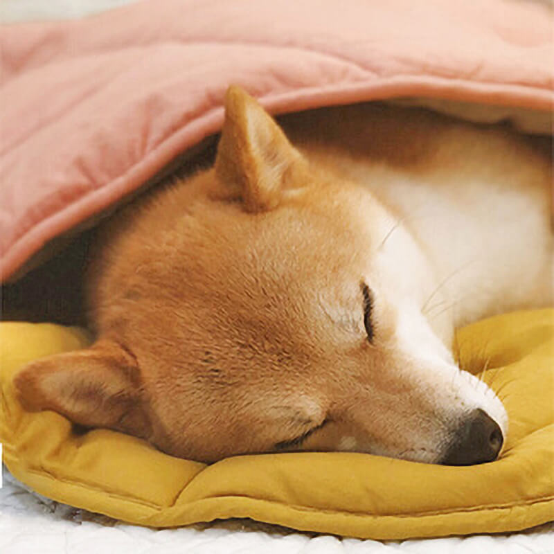 Calming Leaf Shape Dog Blanket