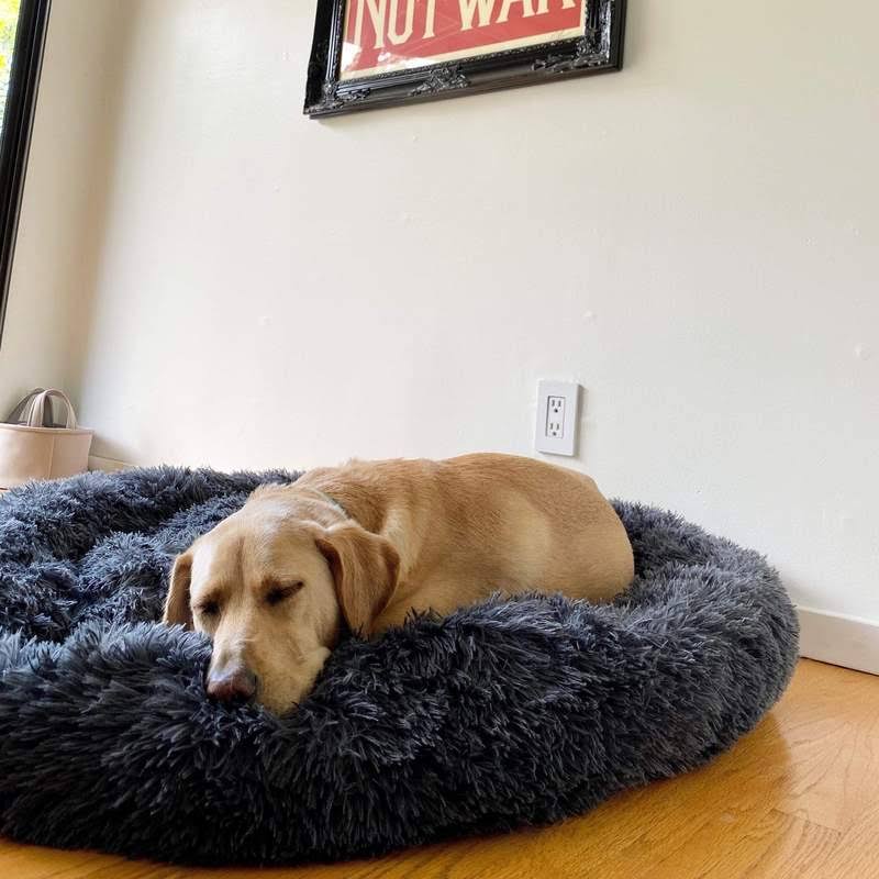 FurGrovers Calming Dog Bed
