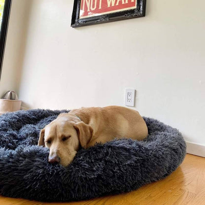 FurGrovers Calming Dog Bed