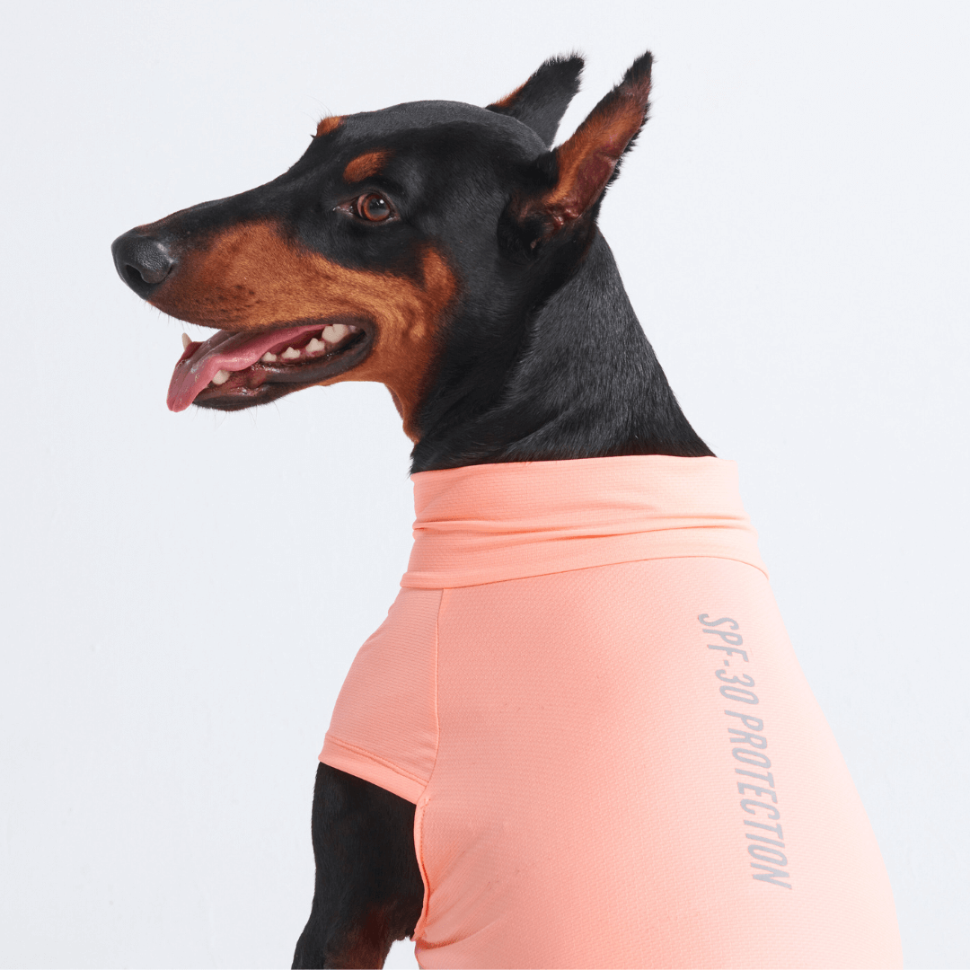 Sun Protection Dog T-Shirt