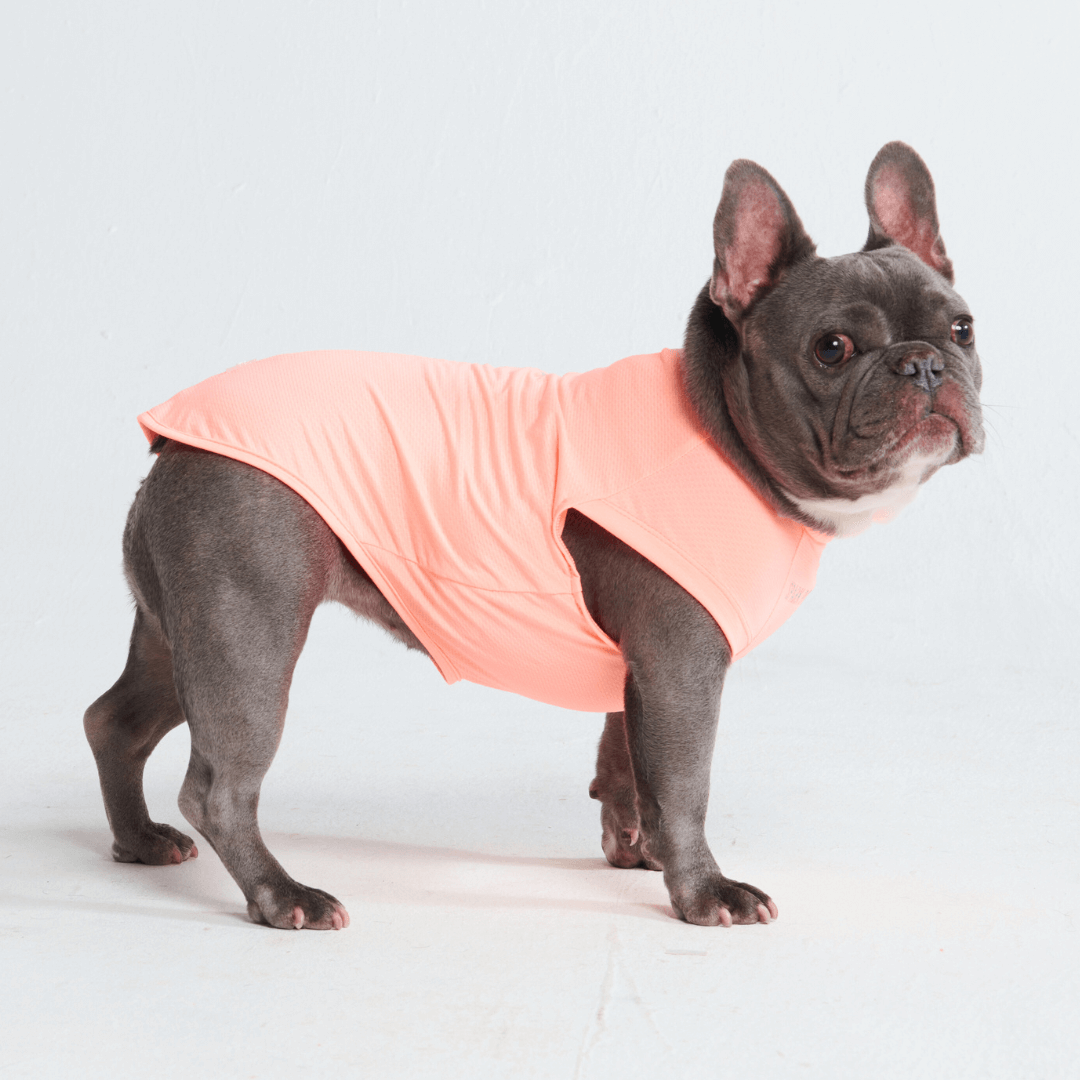Sun Protection Dog T-Shirt