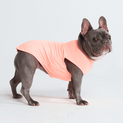 Sun Protection Dog T-Shirt