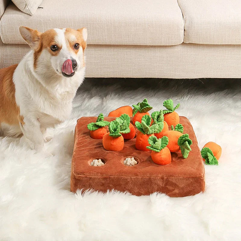 Carrot Snuffle Dog Toy