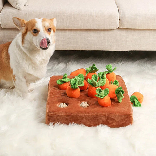 Carrot Snuffle Dog Toy