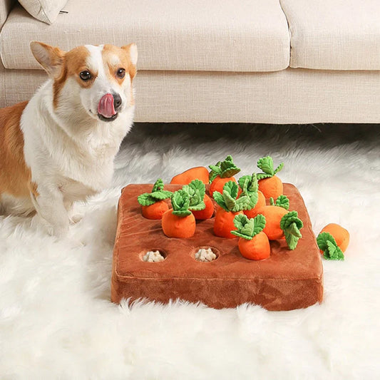 Carrot Snuffle Dog Toy