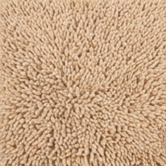 Absorbent Dog Door Mat for Muddy Paws