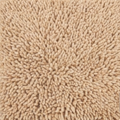 Absorbent Dog Door Mat for Muddy Paws
