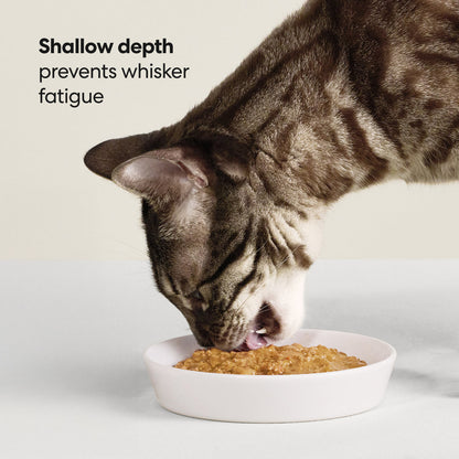 Ceramic Cat Bowl